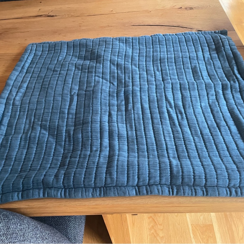 Pine cone hill sham